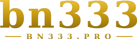 bn333 logo